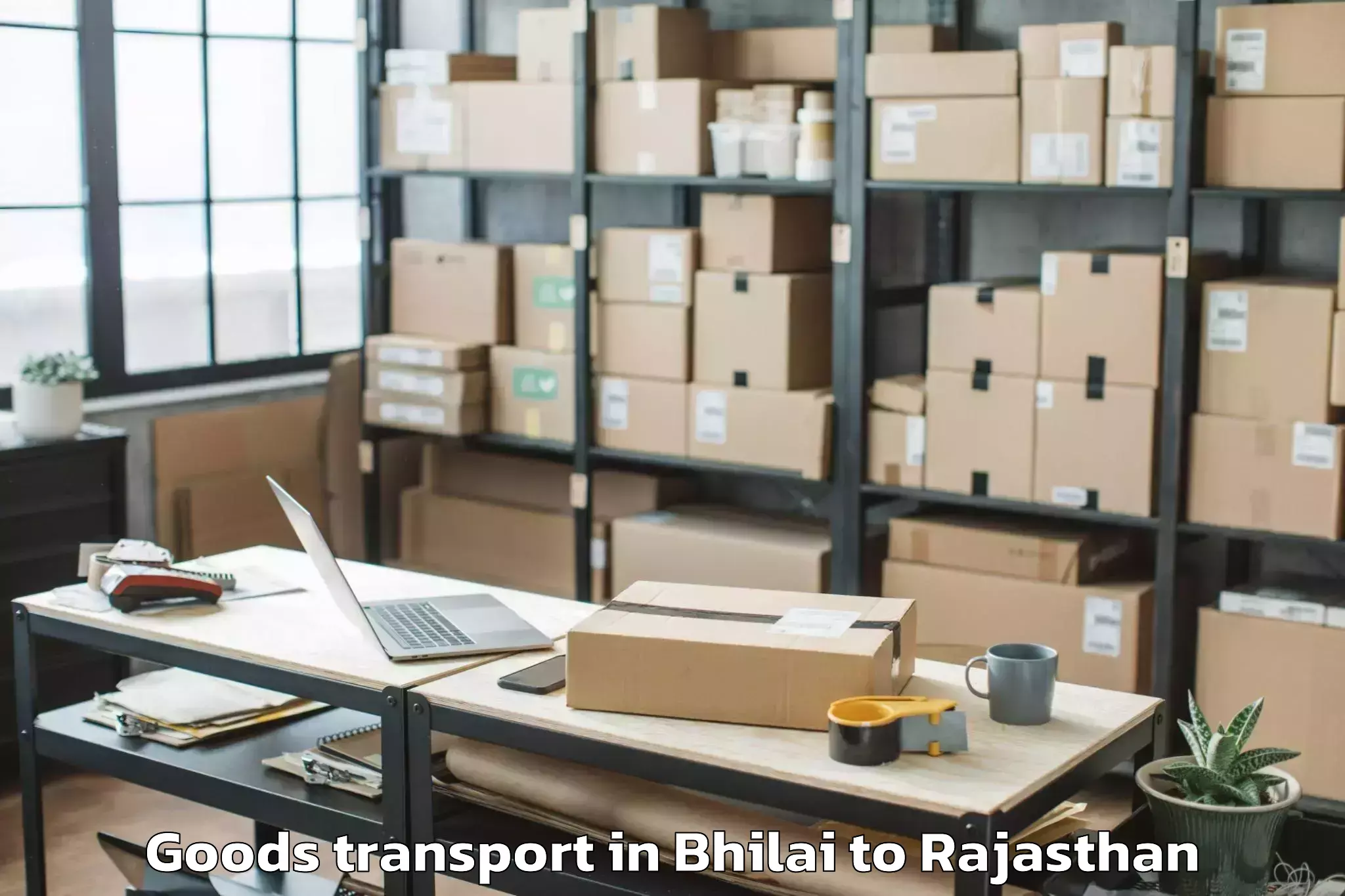 Discover Bhilai to Kumbhalgarh Goods Transport